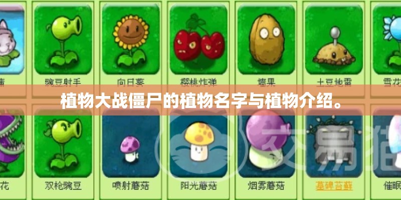 植物大战僵尸的植物名字与植物介绍。
