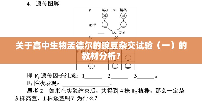 关于高中生物孟德尔的豌豆杂交试验（一）的教材分析？
