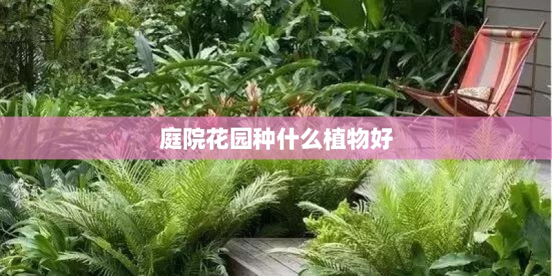 庭院花园种什么植物好 庭院花园种什么植物好