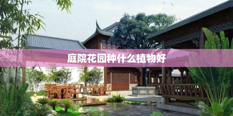 庭院花园种什么植物好 庭院花园种什么植物好