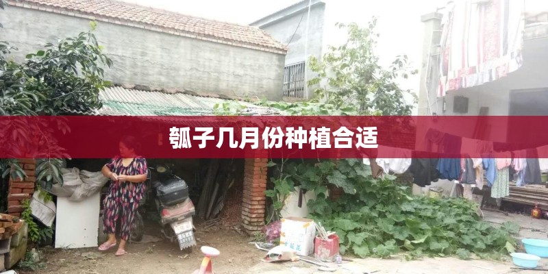 瓠子几月份种植合适