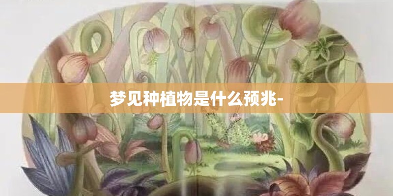 梦见种植物是什么预兆-