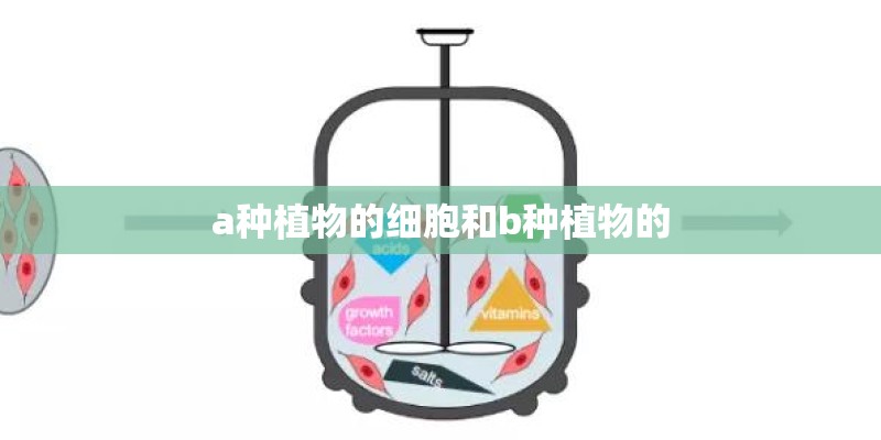 a种植物的细胞和b种植物的