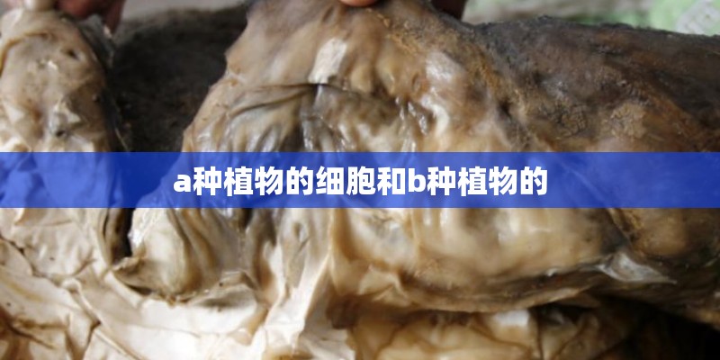 a种植物的细胞和b种植物的
