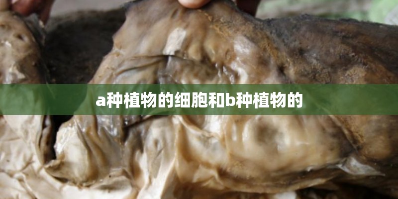 a种植物的细胞和b种植物的