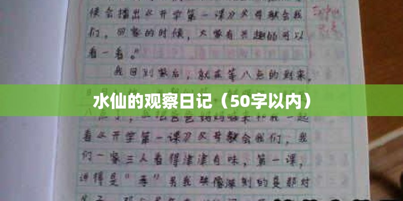 水仙的观察日记(50字以内) 水仙的观察日记(50字以内)