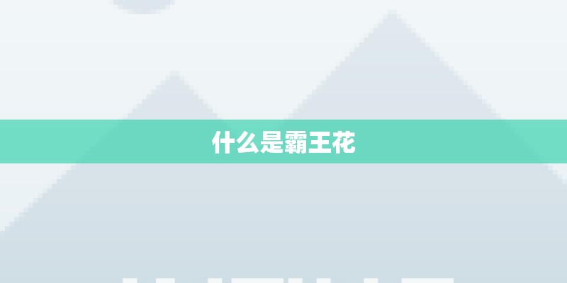 什么是霸王花