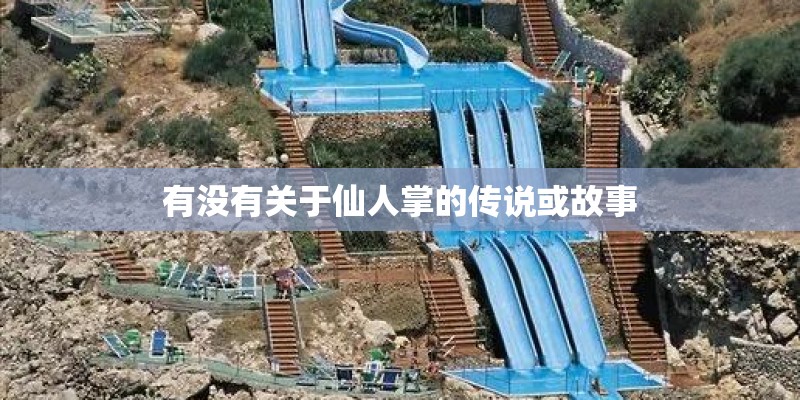 有没有关于仙人掌的传说或故事