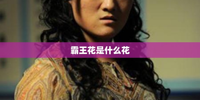 霸王花是什么花