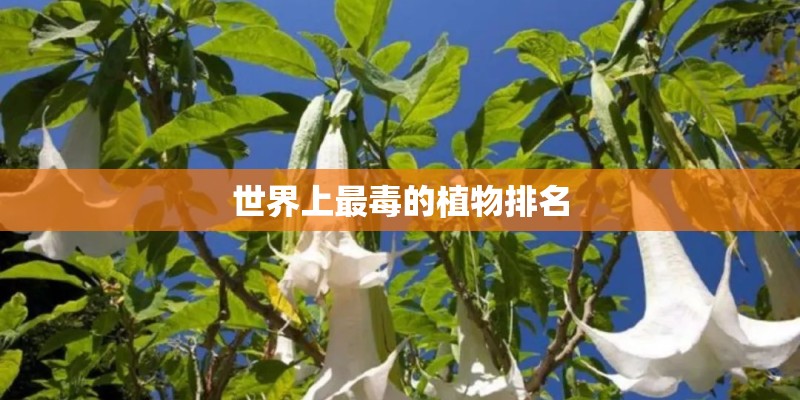 世界上最毒的植物排名