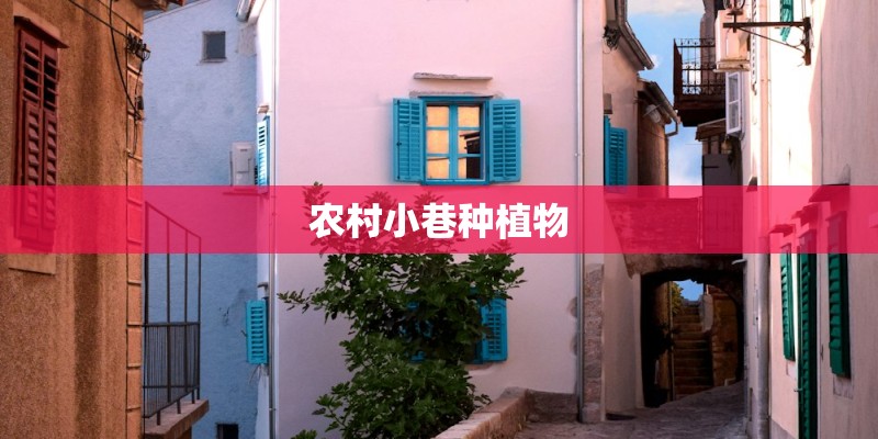 农村小巷种植物