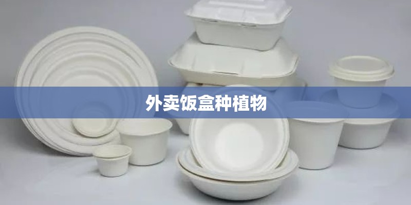 外卖饭盒种植物 外卖饭盒种植物
