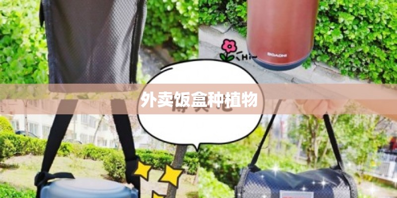 外卖饭盒种植物 外卖饭盒种植物
