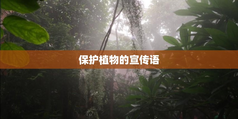 保护植物的宣传语