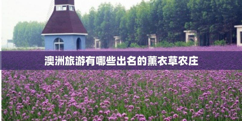 澳洲旅游有哪些出名的薰衣草农庄
