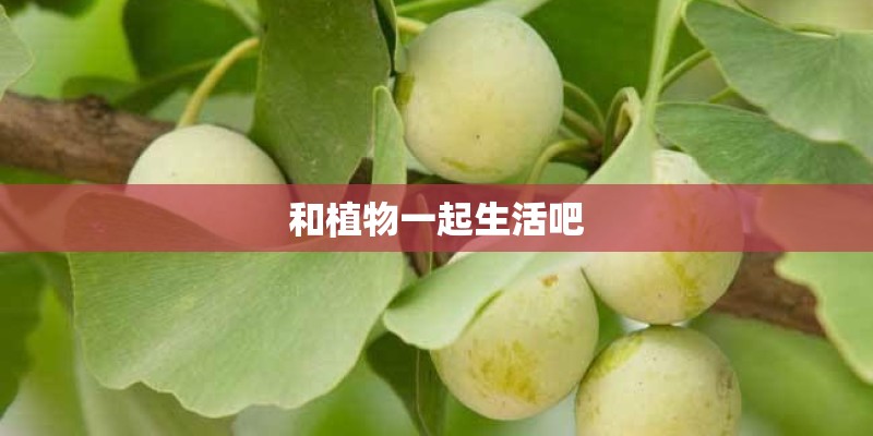 和植物一起生活吧