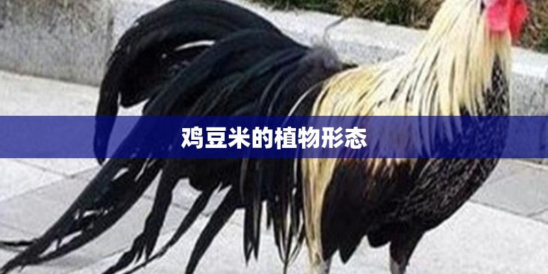鸡豆米的植物形态