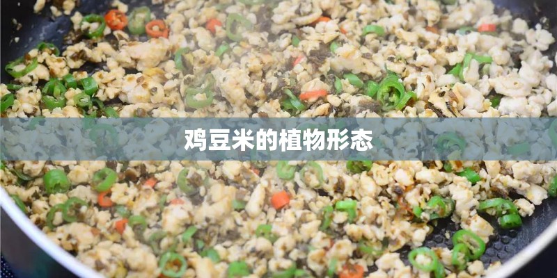 鸡豆米的植物形态