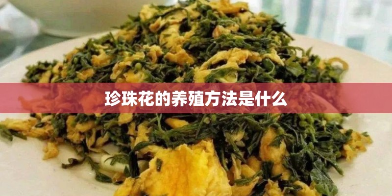 珍珠花的养殖方法是什么 珍珠花的养殖方法是什么