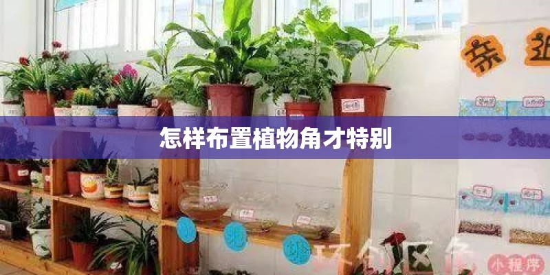 怎样布置植物角才特别