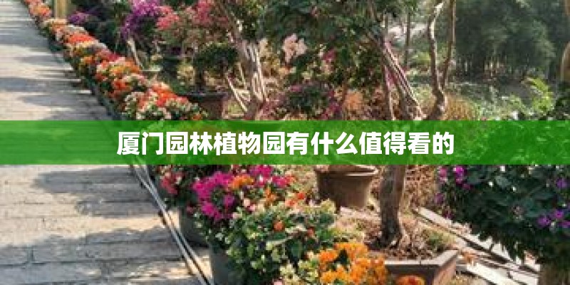厦门园林植物园有什么值得看的