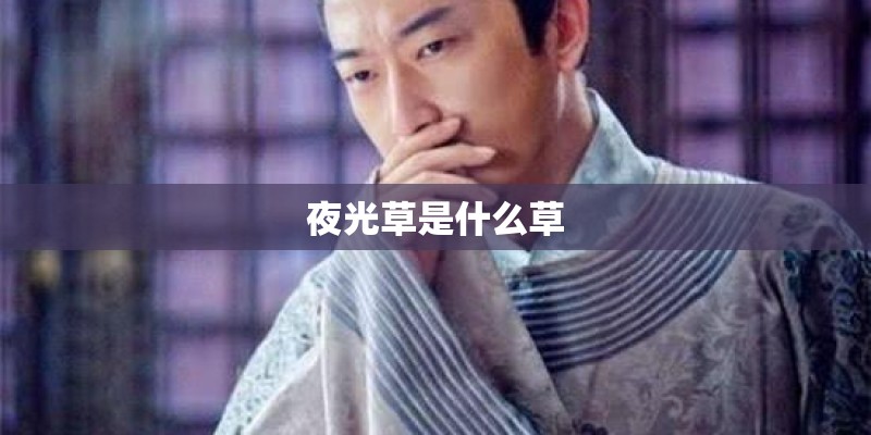 夜光草是什么草
