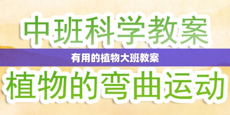 有用的植物大班教案