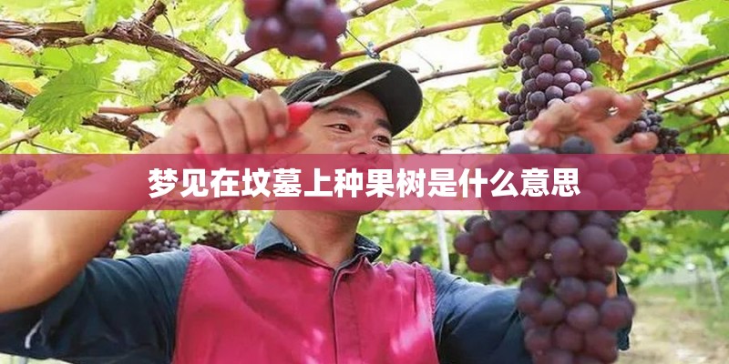 梦见在坟墓上种果树是什么意思