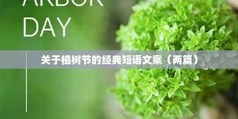 关于植树节的经典短语文案（两篇）
