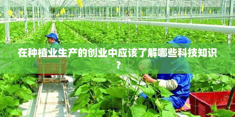 在种植业生产的创业中应该了解哪些科技知识？
