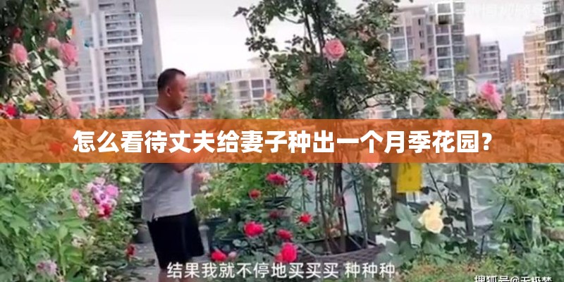 怎么看待丈夫给妻子种出一个月季花园？