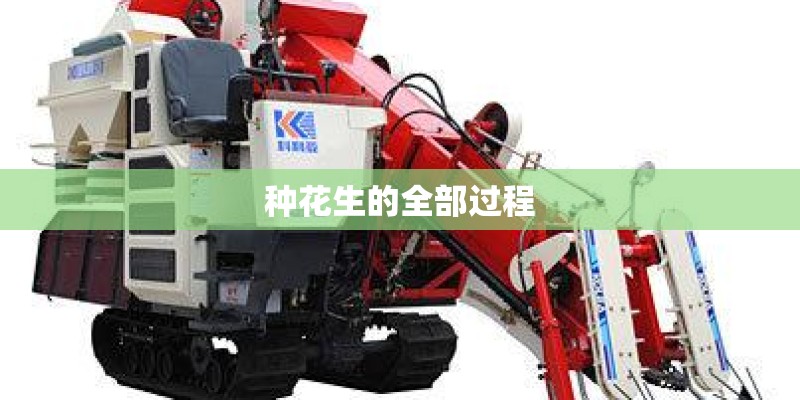 种花生的全部过程
