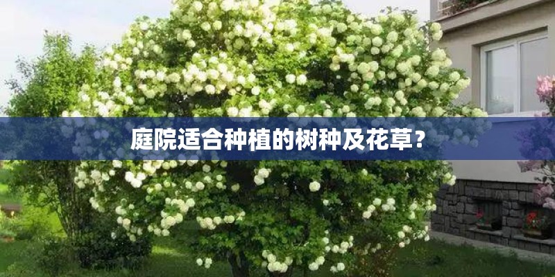 庭院适合种植的树种及花草？