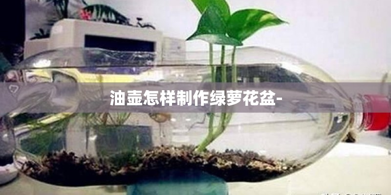 油壶怎样制作绿萝花盆-