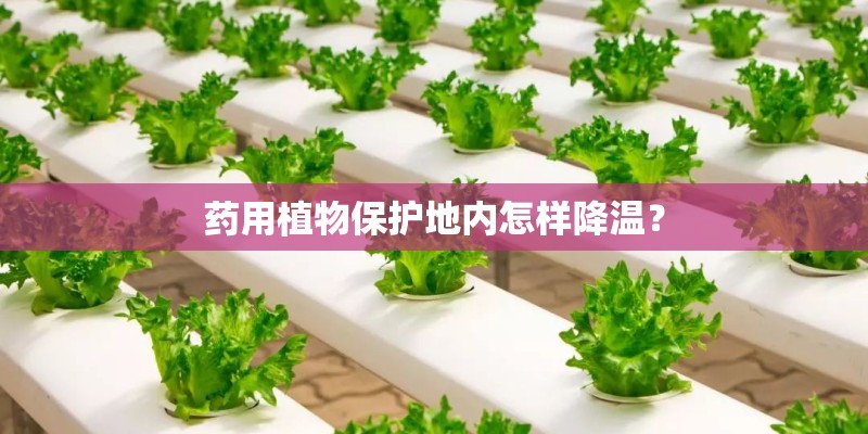 药用植物保护地内怎样降温？