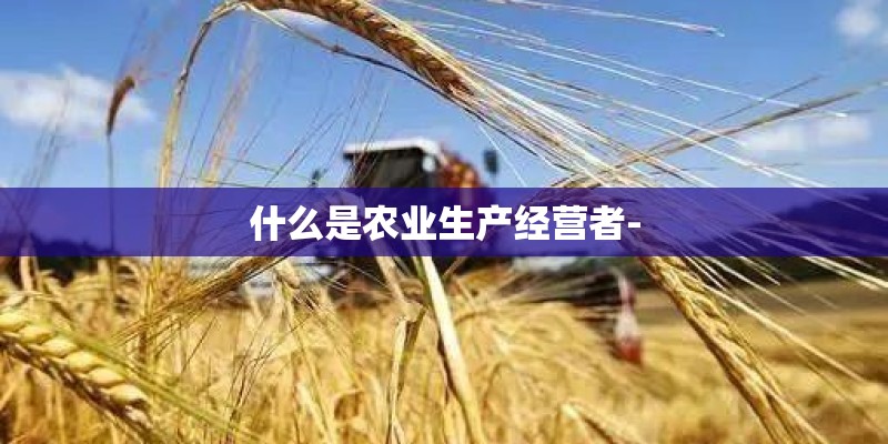 什么是农业生产经营者-