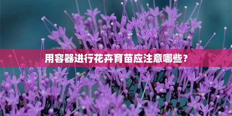 用容器进行花卉育苗应注意哪些？