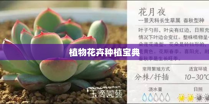 植物花卉种植宝典
