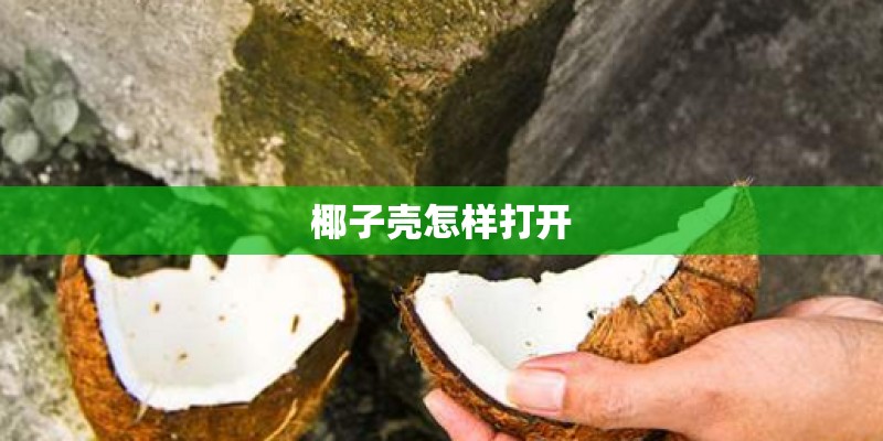 椰子壳怎样打开