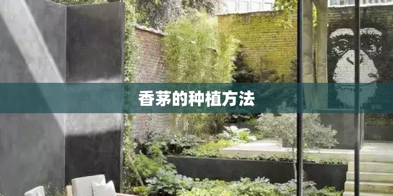 香茅的种植方法