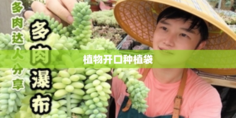 植物开口种植袋