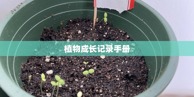 植物成长记录手册