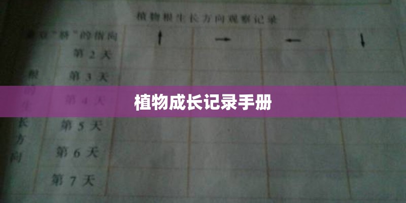 植物成长记录手册