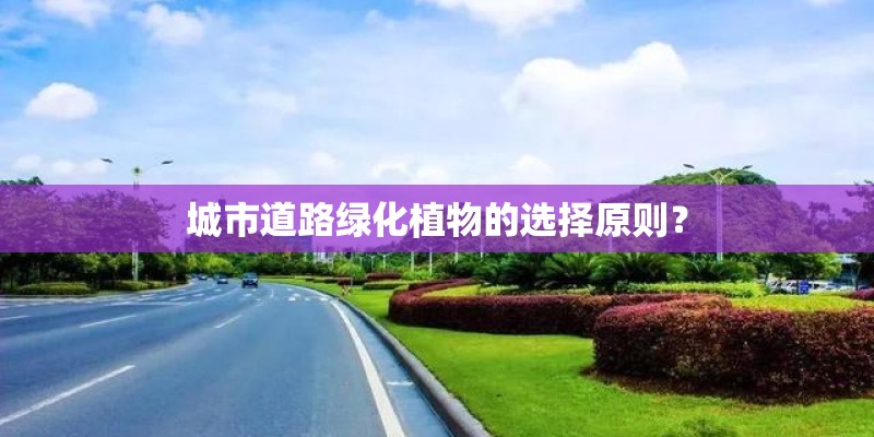 城市道路绿化植物的选择原则？
