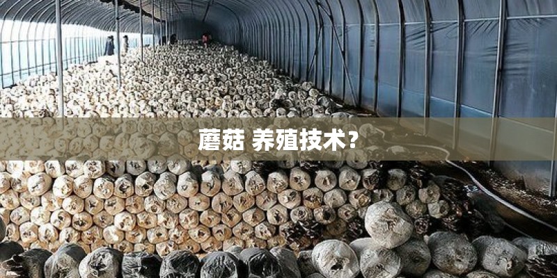 蘑菇 养殖技术？