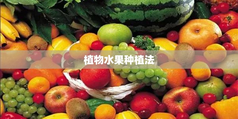 植物水果种植法