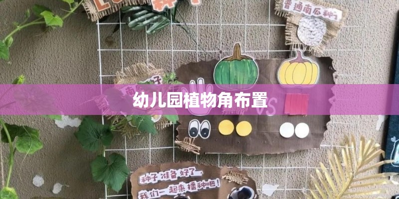 幼儿园植物角布置