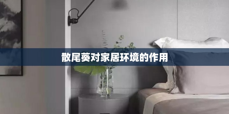 散尾葵对家居环境的作用