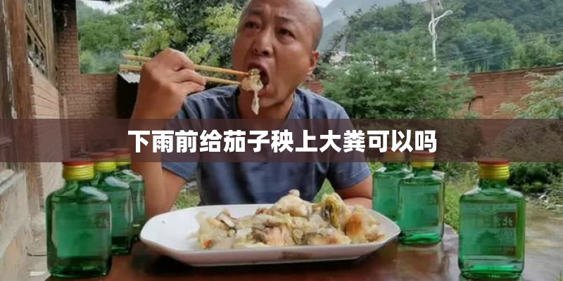 下雨前给茄子秧上大粪可以吗
