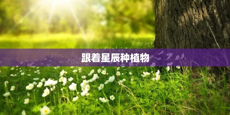 跟着星辰种植物